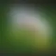 Zagraj Let It Ride z Playtech w {"id":59,"name":"Betsafe","design":{"logo":"betsafe-logo-m1qkyz.svg","favicon":"betsafe-favicon-rRJAkl.png","banner_poker":"betsafe-poker-aKLCQN.webp","banner_mobile":"betsafe-mobile-j9bnqU.webp","block_bg_color":"#404040","image_bg_color":"#333","banner_bg_color":"#404040","block_text_color":"#ffffff","primary_bg_color":"#262626","banner_text_color":"#fff","footer_logos_type":"white","block_round_radius":"0.125rem","primary_text_color":"#ffffff","button_round_radius":"0.125rem","banner_welcome_bonus":"betsafe-welcome-bonus-aIfxS2.webp","primary_button_bg_color":"#84cc16","primary_button_text_color":"#fff","secondary_button_bg_color":"#999","secondary_button_text_color":"#fff"},"created_at":"2025-05-14T09:25:22.000000Z","updated_at":"2025-05-14T09:25:22.000000Z","deleted_at":null}